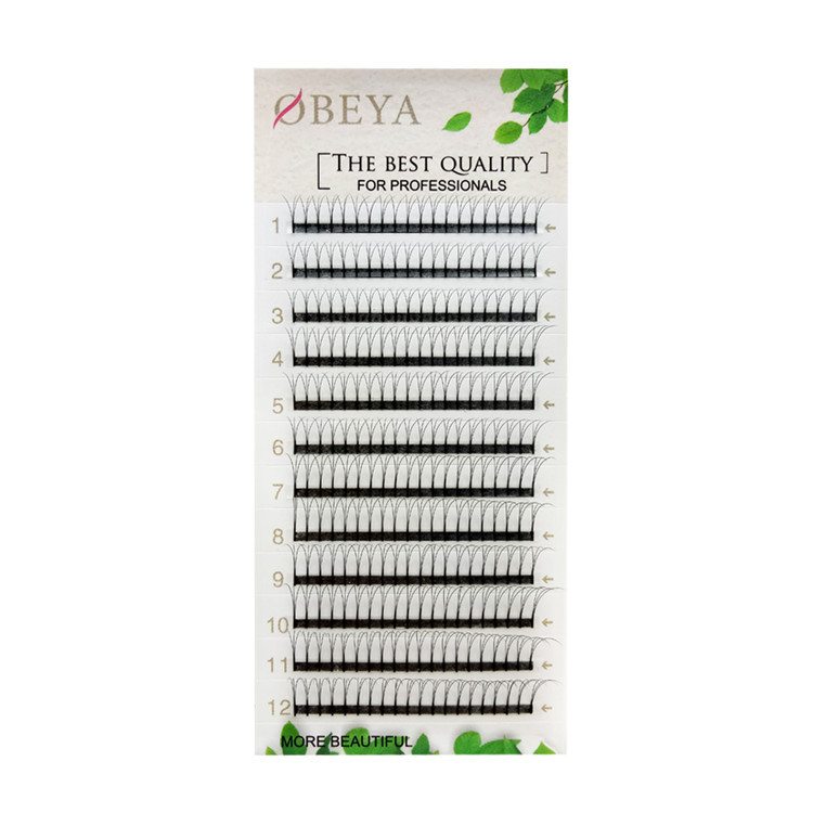 2D 3D 4D 5D 6DIndividual Premade Pre Made Fan Volume Eyelash Extension With 0.07 mm xx