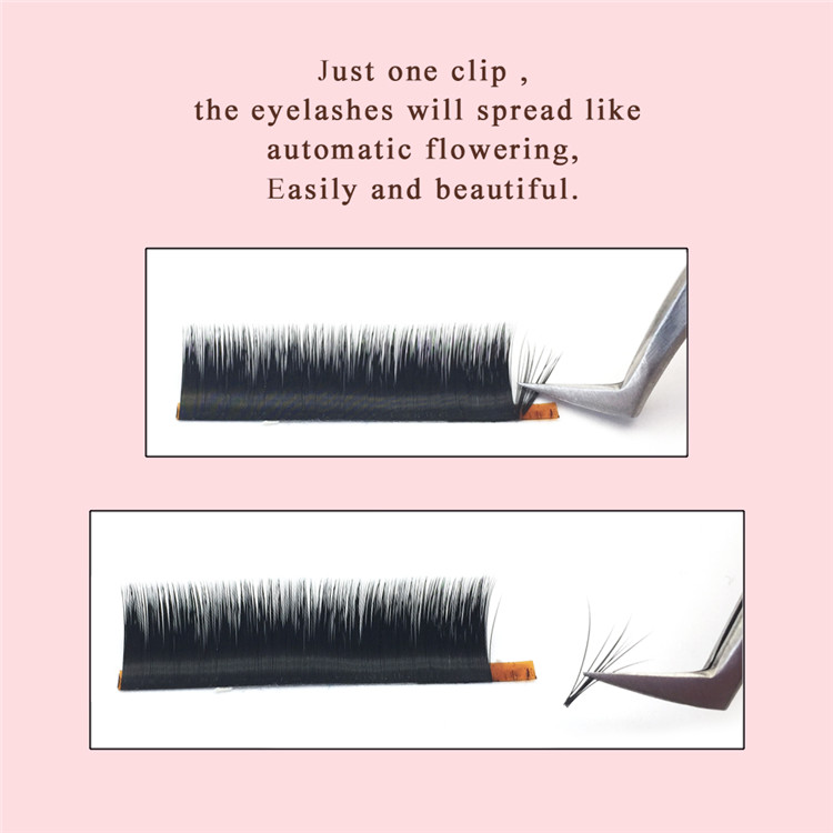 Inquiry for Hot selling Blooming lash extensions easy fan rapid to flower volume lash 0.03 0.05 0.07 C curl D curl vendors with private label in US XJ66